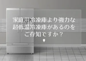 家庭用冷凍庫より強力な超低温冷凍庫があるのをご存知ですか Monlog